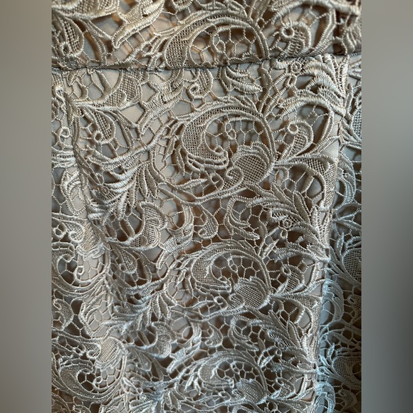 Stunning Lace Gown - Picture 10 of 10